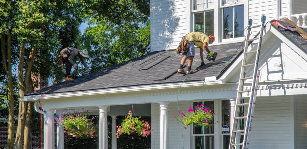 Best New Roof Installation  in Ephraim, UT